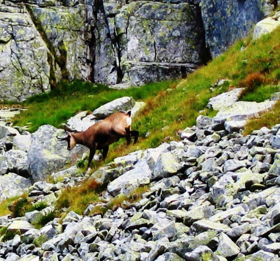 Penzion Alfa Tatry Stara Lesna Luaran gambar